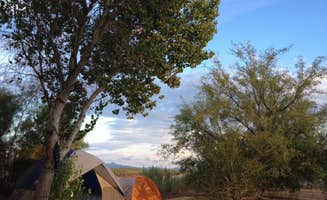 Dan X.'s photo at BLM Oxbow Campground near Blythe, CA
