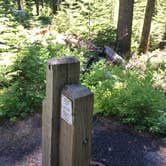 Review photo of Lost Lake Resort And Campground — Mt. Hood National Forest by Corinna B., May 27, 2018