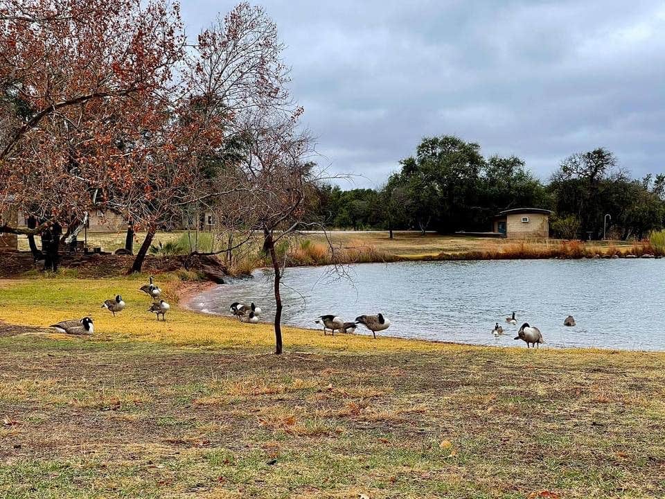 Lynne L.'s photo of camping with pets at Inks Lake State Park Campground near Horseshoe Bay, TX