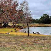 Review photo of Inks Lake State Park Campground by Lynne L., January 5, 2021