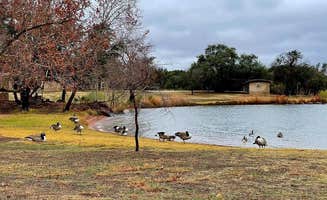 Lynne L.'s photo of camping with pets at Inks Lake State Park Campground near Kingsland, TX