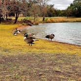 Review photo of Inks Lake State Park Campground by Lynne L., January 5, 2021