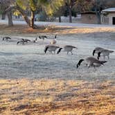 Review photo of Inks Lake State Park Campground by Lynne L., January 5, 2021