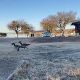 Review photo of Inks Lake State Park Campground by Lynne L., January 5, 2021