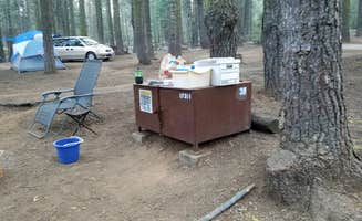 Erik M.'s photo at Crane Flat Campground — Yosemite National Park near El Portal, CA