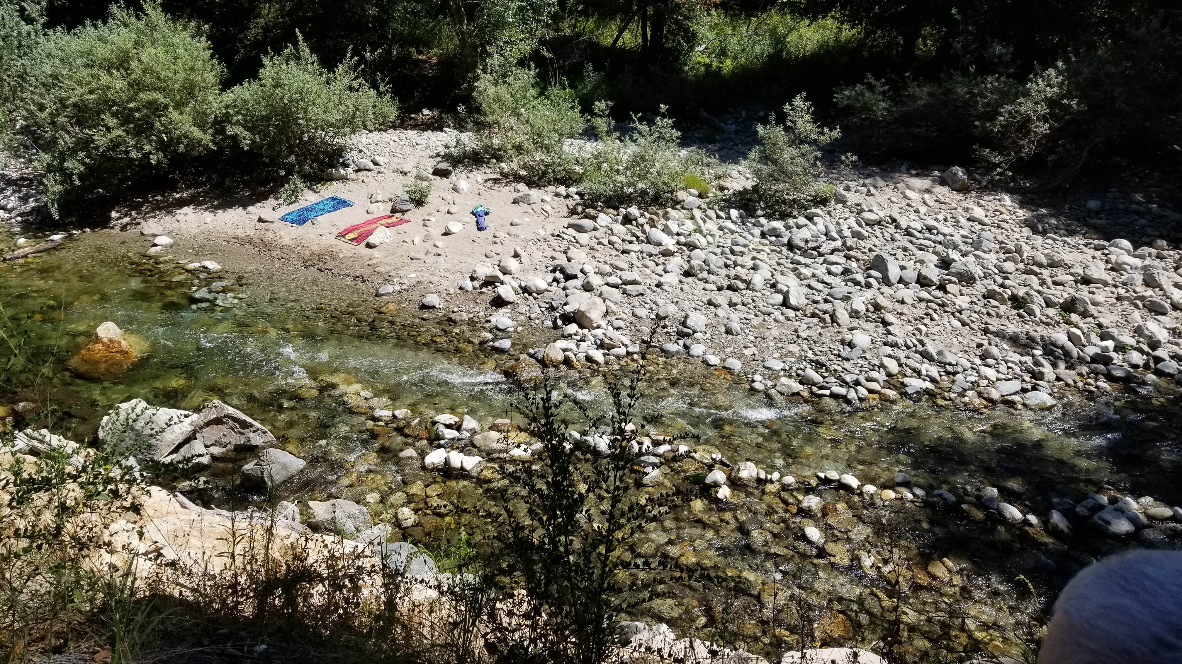 Camper-submitted photo at Pfeiffer Big Sur State Park Campground in California