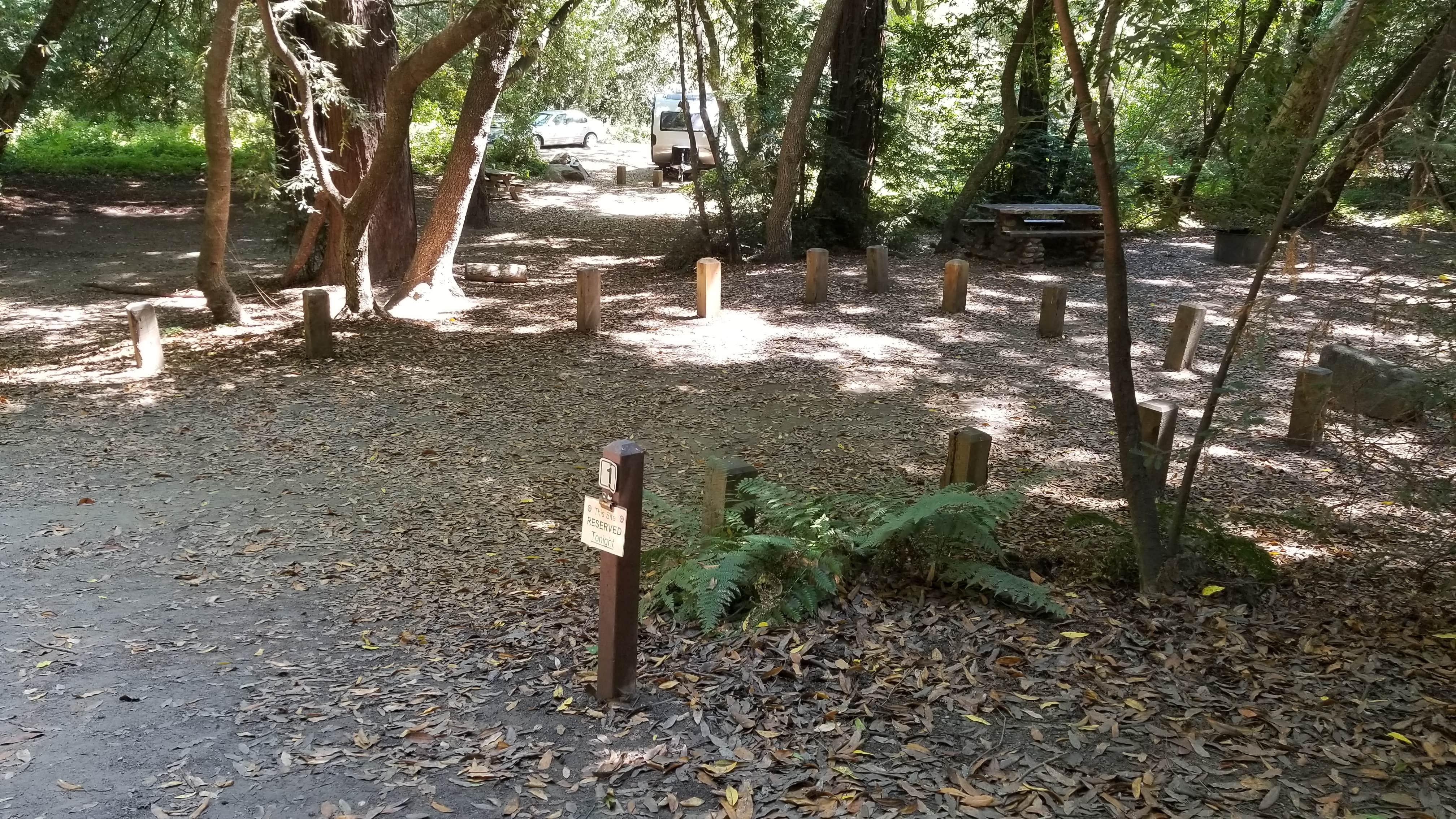 Pfeiffer Big Sur State Park Campground