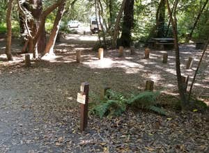 Pfeiffer Big Sur State Park Campground