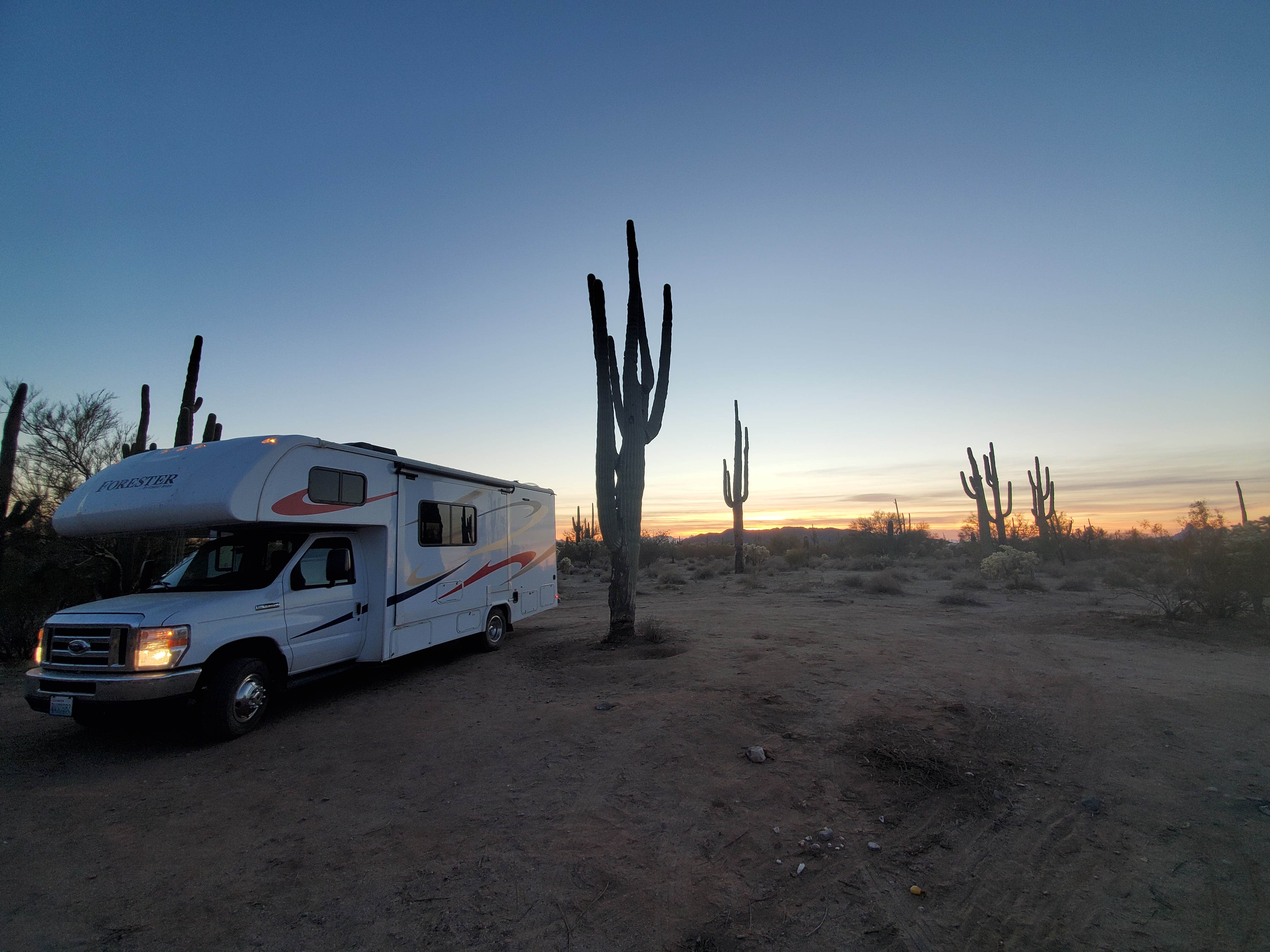 Camper submitted image from Cactus Forest Dispersed - 1