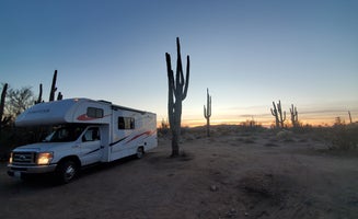 Camper-submitted photo from Cactus Forest - Park Link Road - S. Cattle Tanks Road BLM dispersed