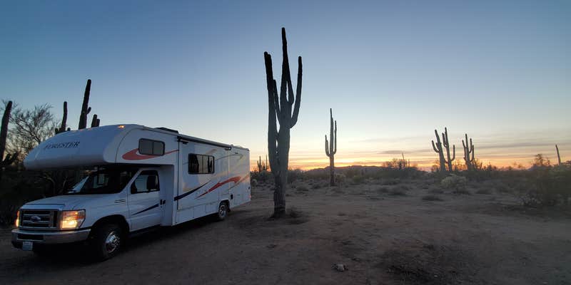 Camper submitted image from Cactus Forest Dispersed