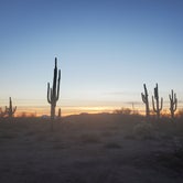Review photo of Cactus Forest Dispersed by Will , January 6, 2021