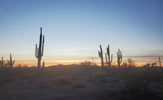 Will's photo of a dispersed camping area at Cactus Forest Dispersed near Mount Lemmon, AZ