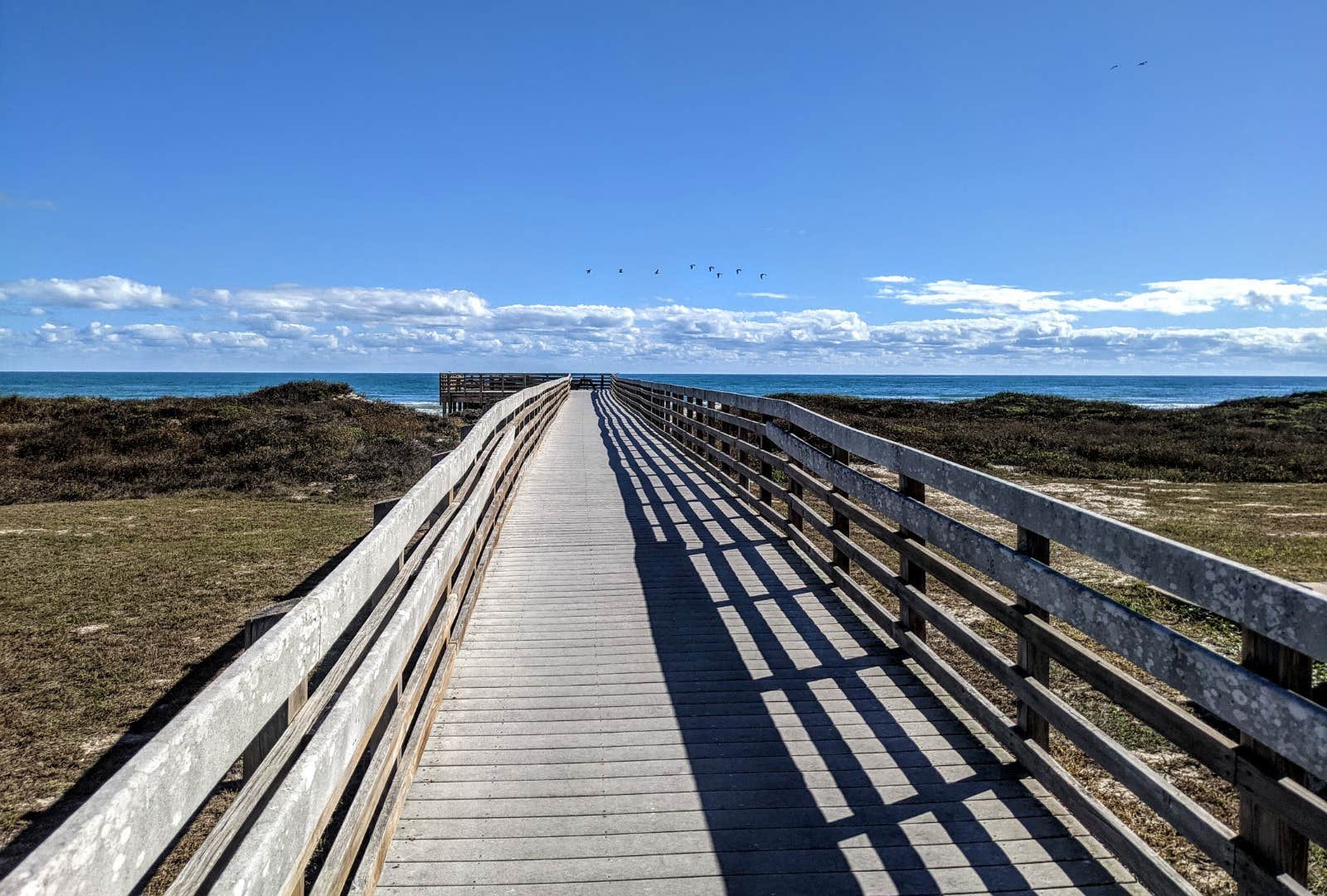 Camper submitted image from Malaquite Campground — Padre Island National Seashore - 4