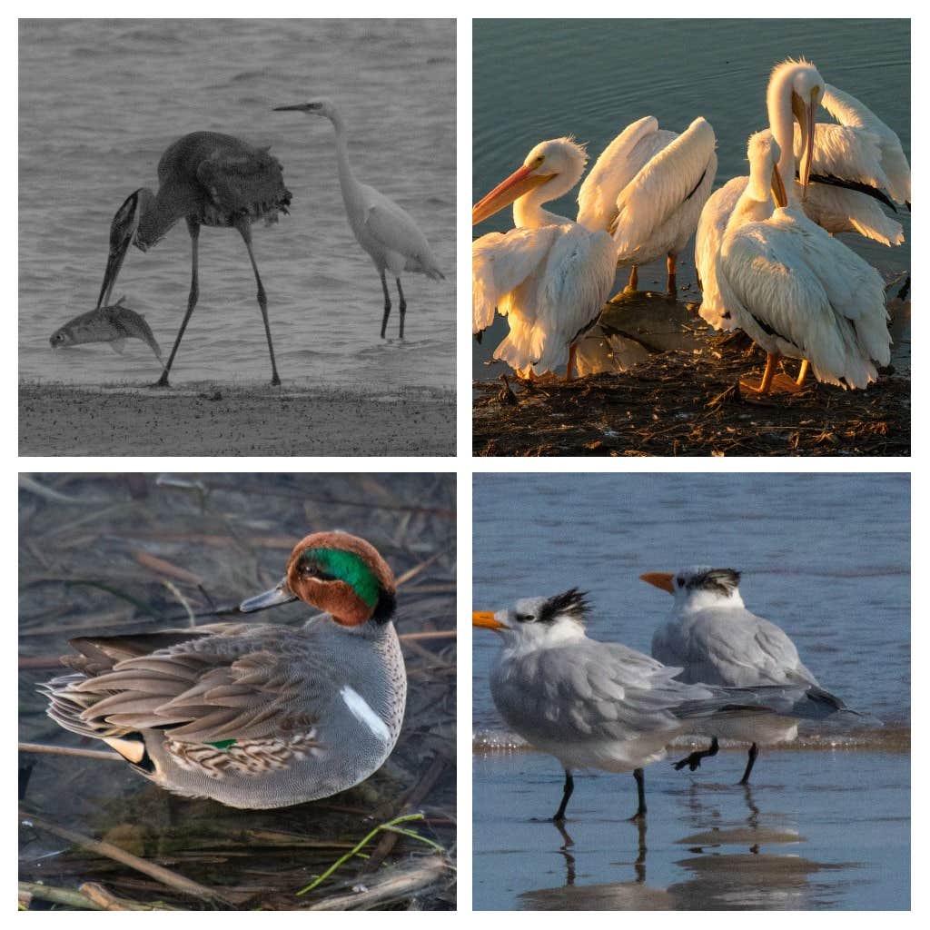 Camper-submitted photo at Magnolia Beach near Edna, TX