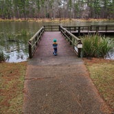 Review photo of Ratcliff Lake Recreation Area by Chris K., January 6, 2021