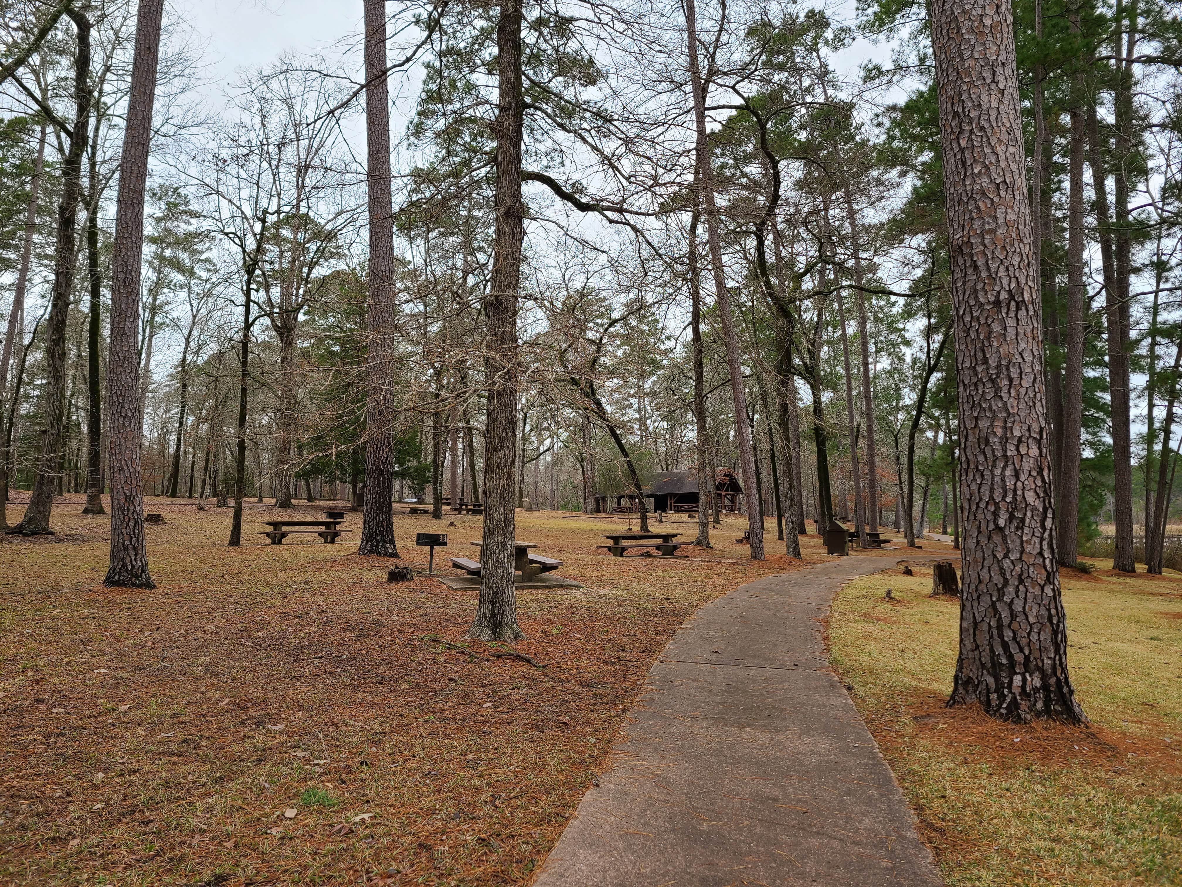 Ratcliff Lake Recreation Area The Dyrt