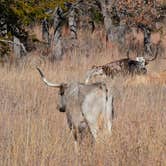 Review photo of Doris Campground by Joshua A., January 6, 2021