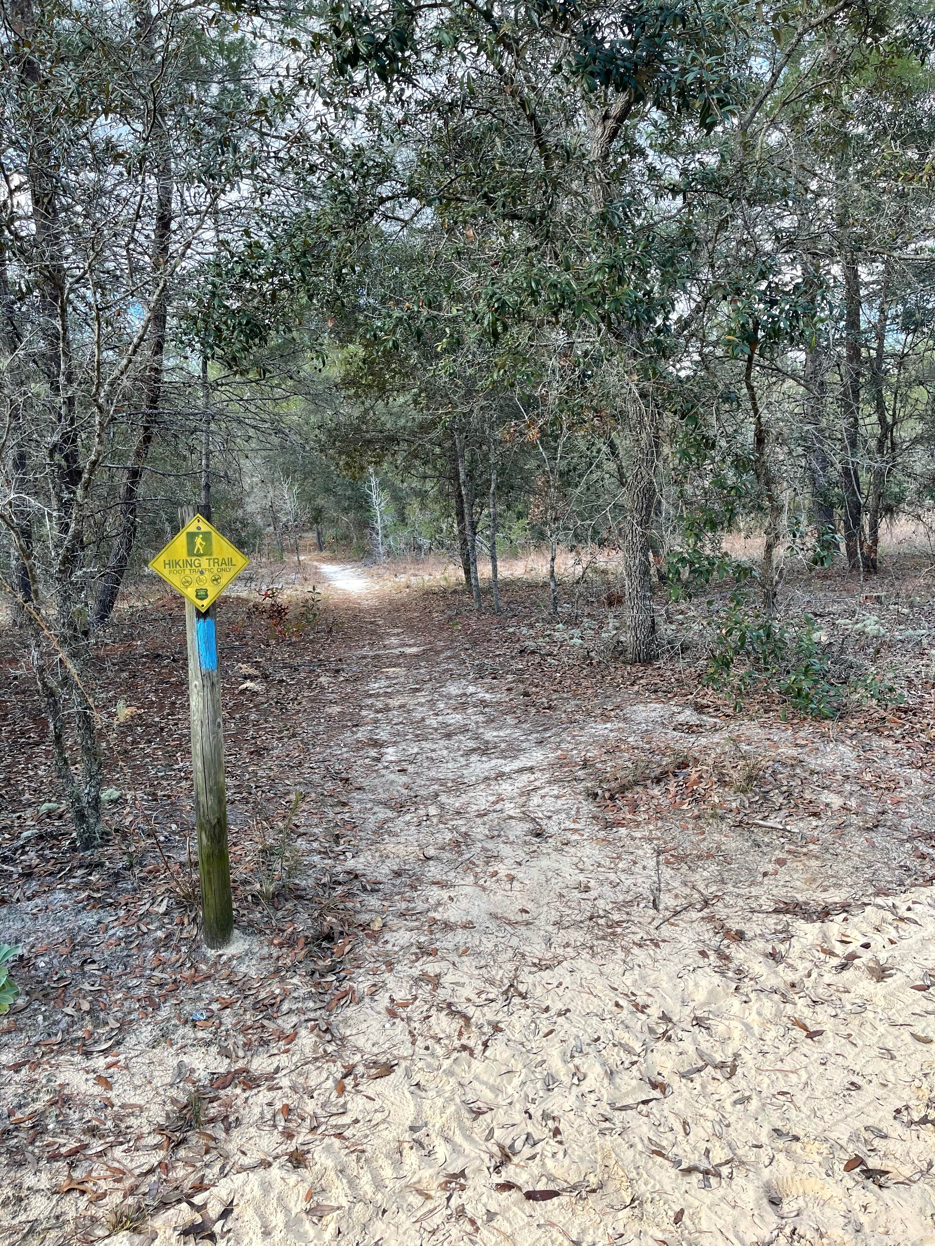 Camper-submitted photo at Holder Mine Campground near Inverness, FL