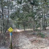 Review photo of Holder Mine Campground by Mary H., January 6, 2021