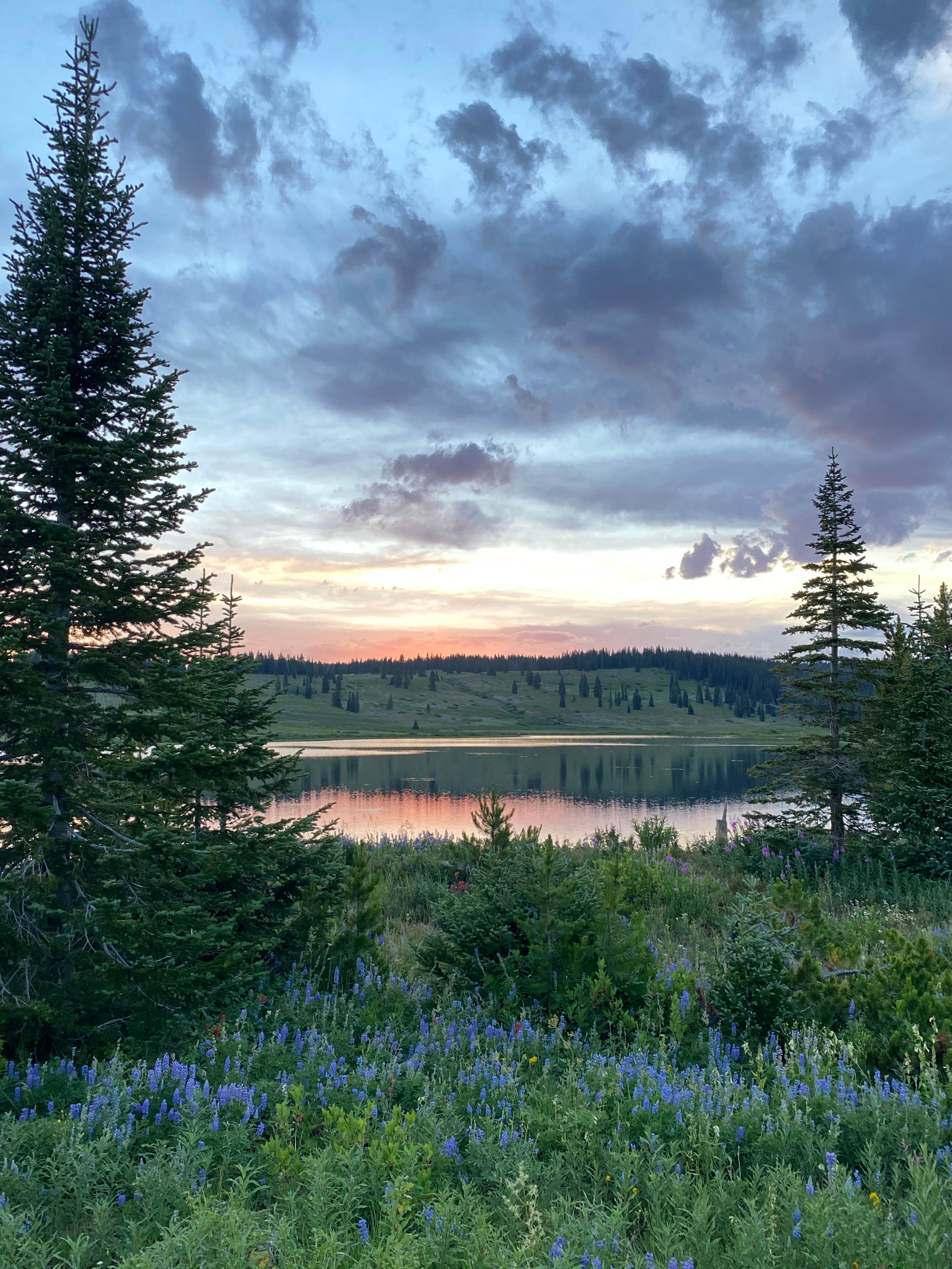 Camper-submitted photo at Dumont Campground near Steamboat Springs, CO