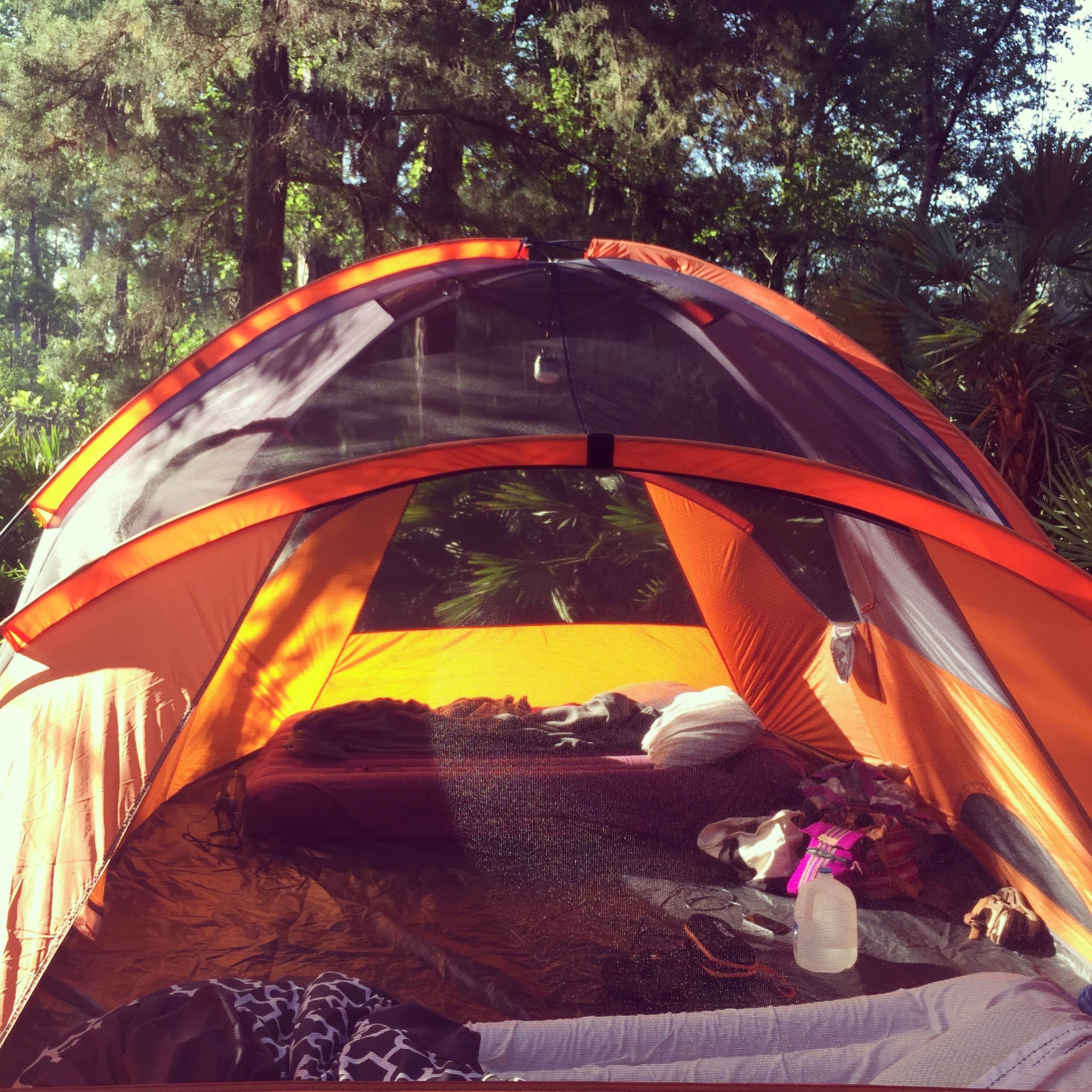 Marisol R.'s photo at Juniper Springs Rec Area - Tropical Camp Area near Ocala National Forest