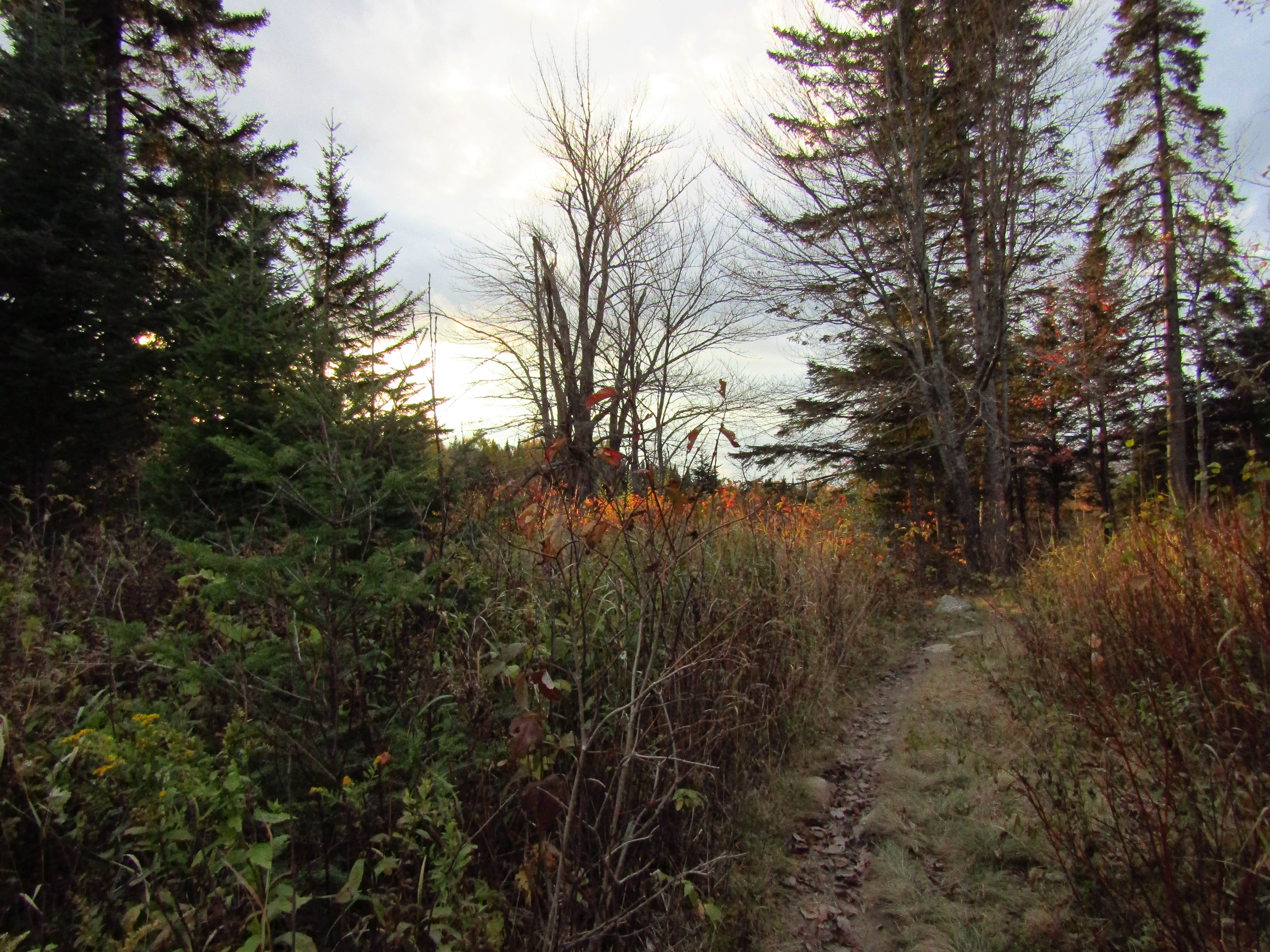 Camper-submitted photo at Attean Falls near Jackman, ME