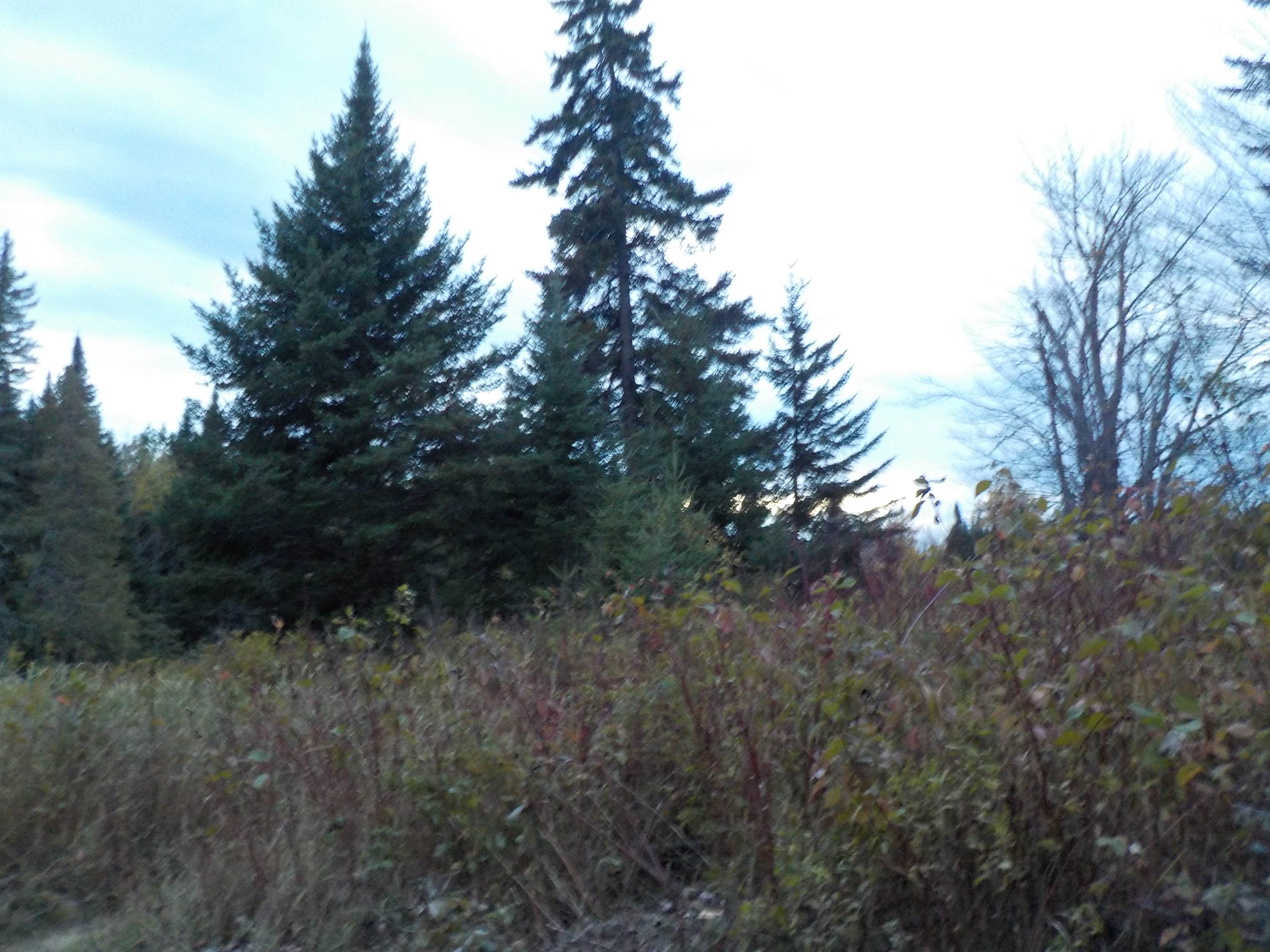 Camping near Portage Site: Attean Falls, Jackman, Maine