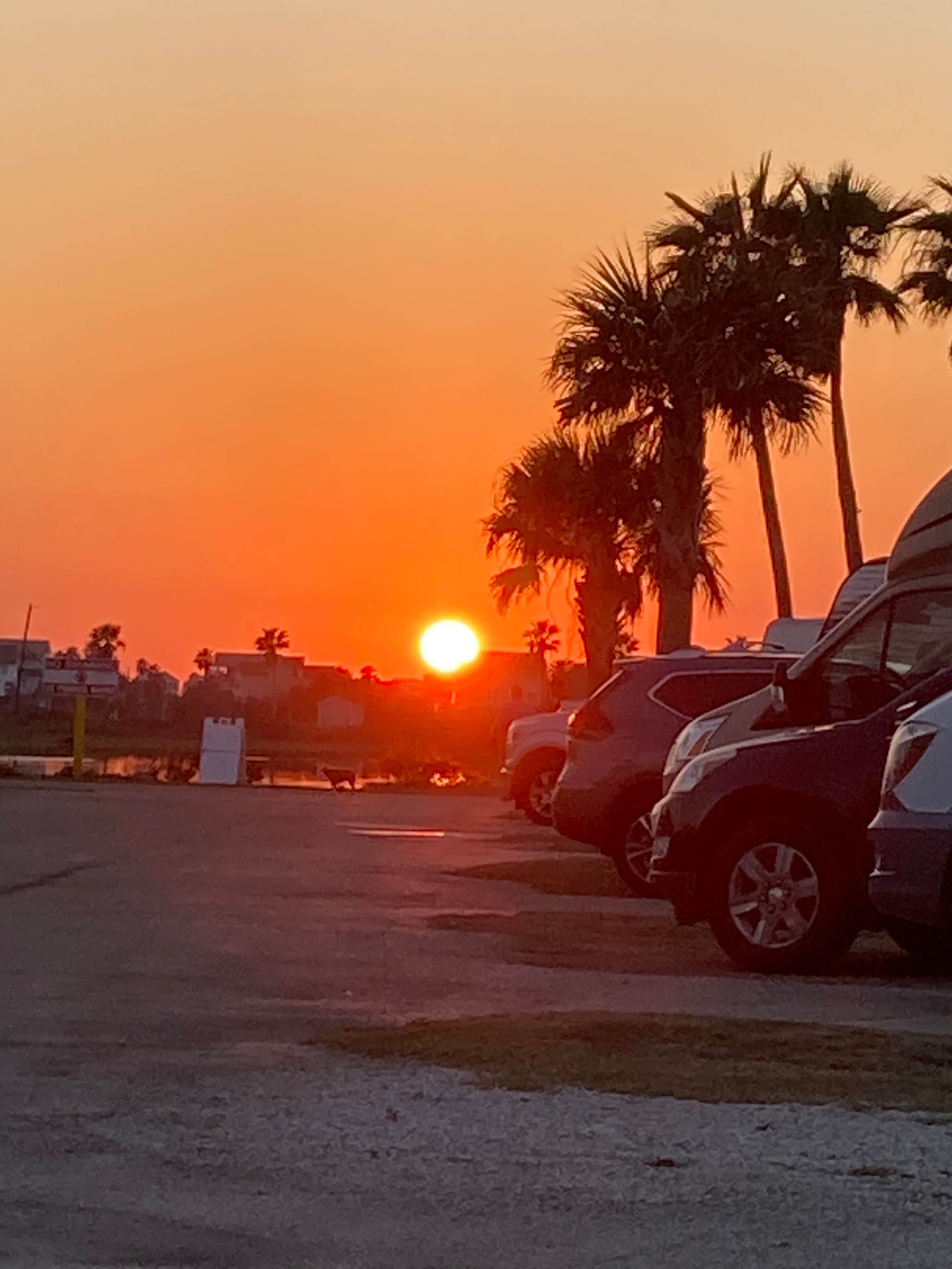 Camper-submitted photo at Dellanera RV Park near Jamaica Beach, TX
