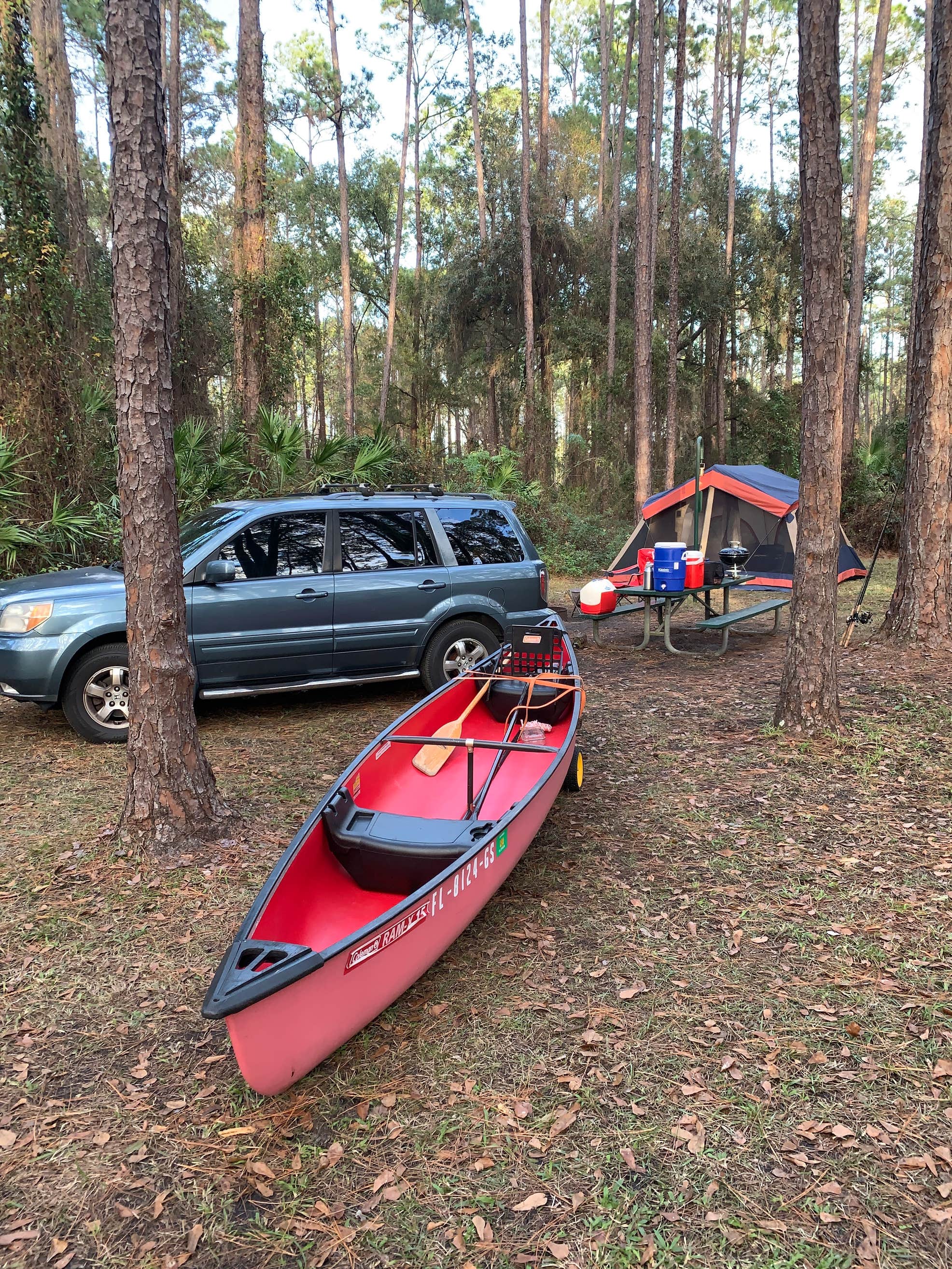 Rodman Campground The Dyrt