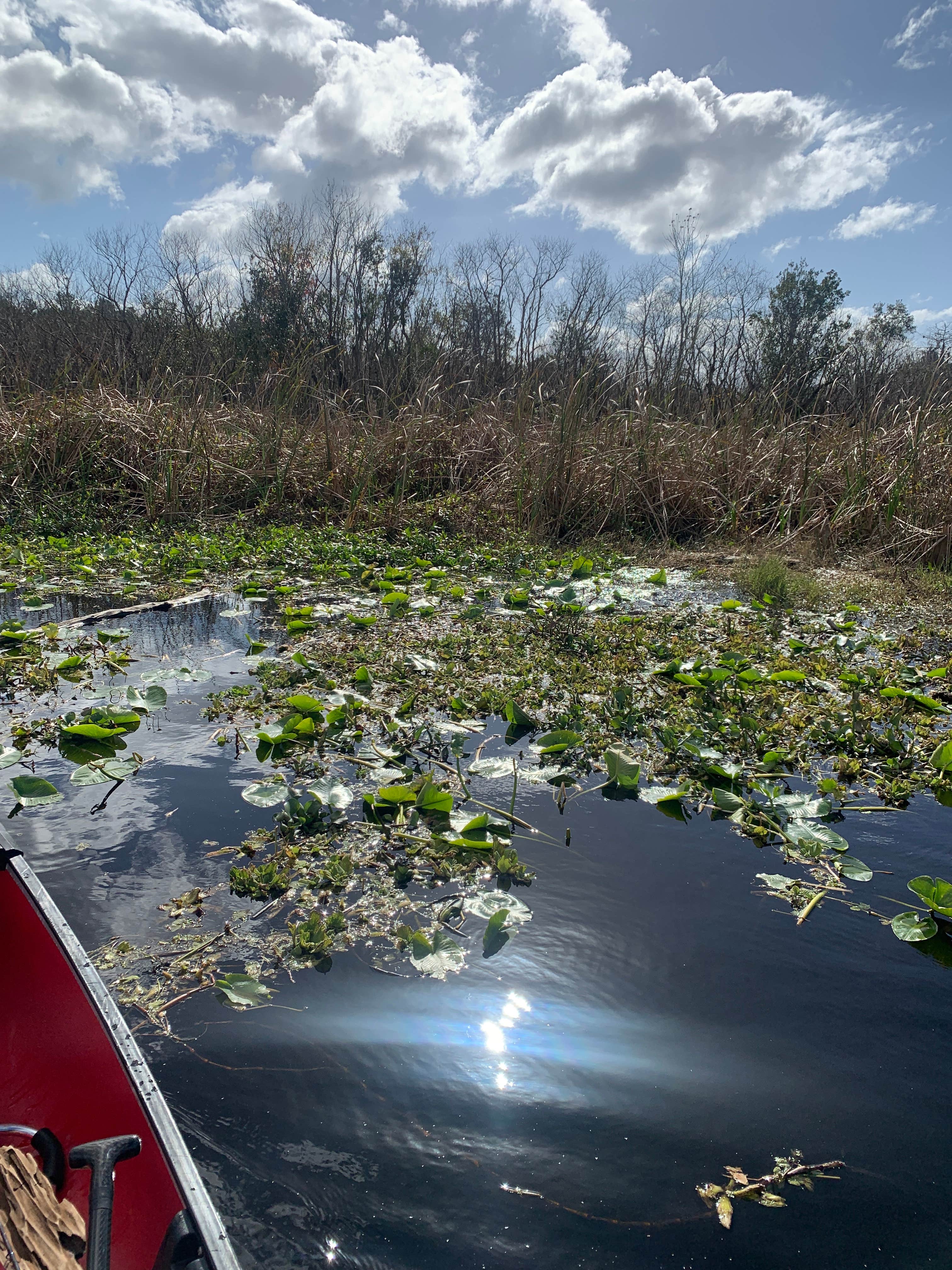 Camper-submitted photo at Rodman Campground near Ocala National Forest