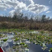 Review photo of Rodman Campground by Justin W., January 6, 2021