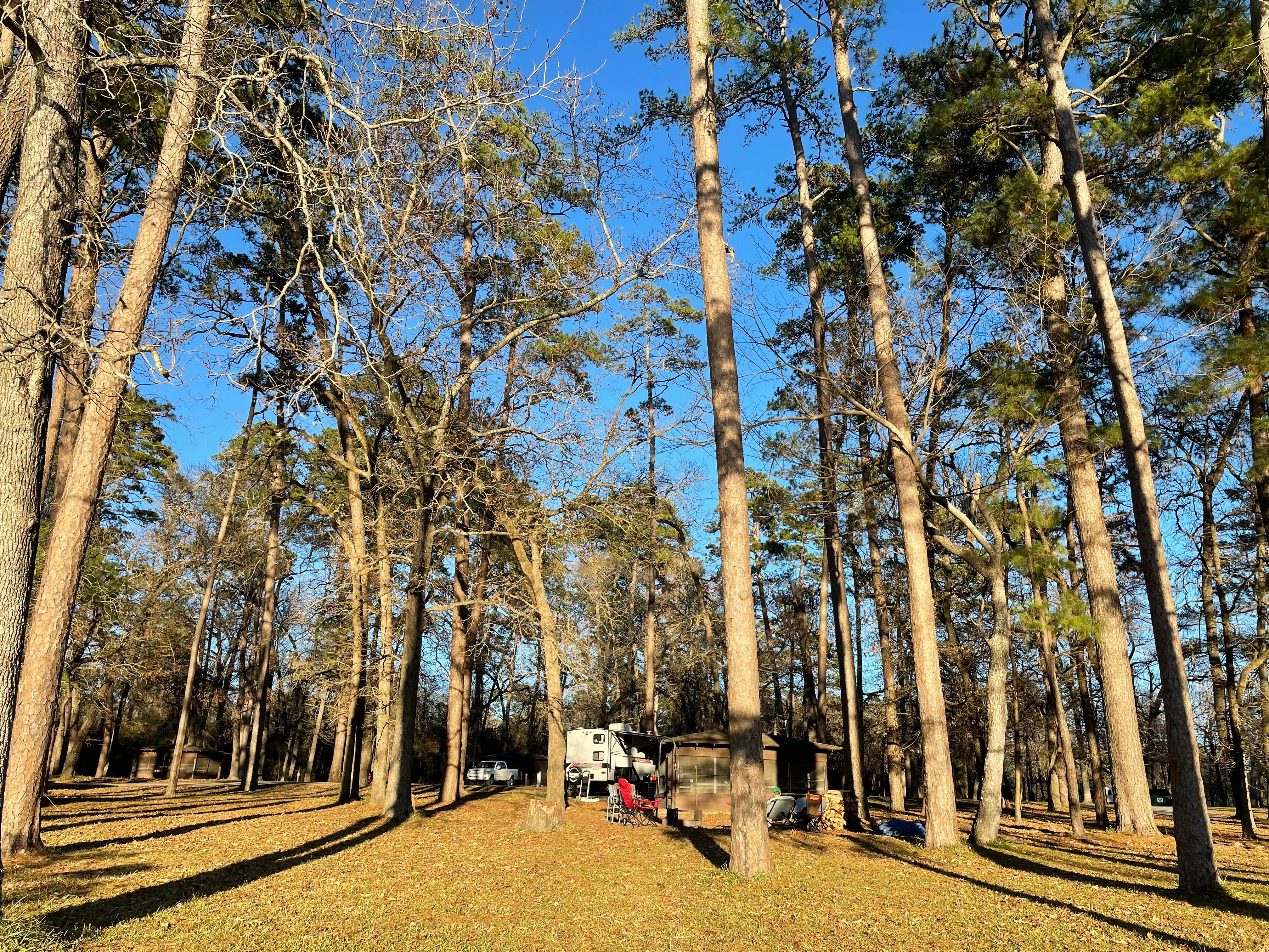 Camper submitted image from Huntsville State Park Campground - 1