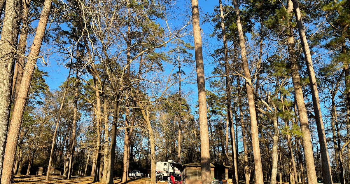Huntsville State Park Campground