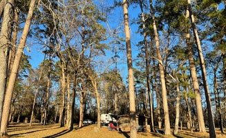 Camper-submitted photo from Huntsville State Park