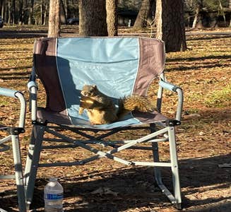 Camper-submitted photo from Lake Livingston State Park Campground