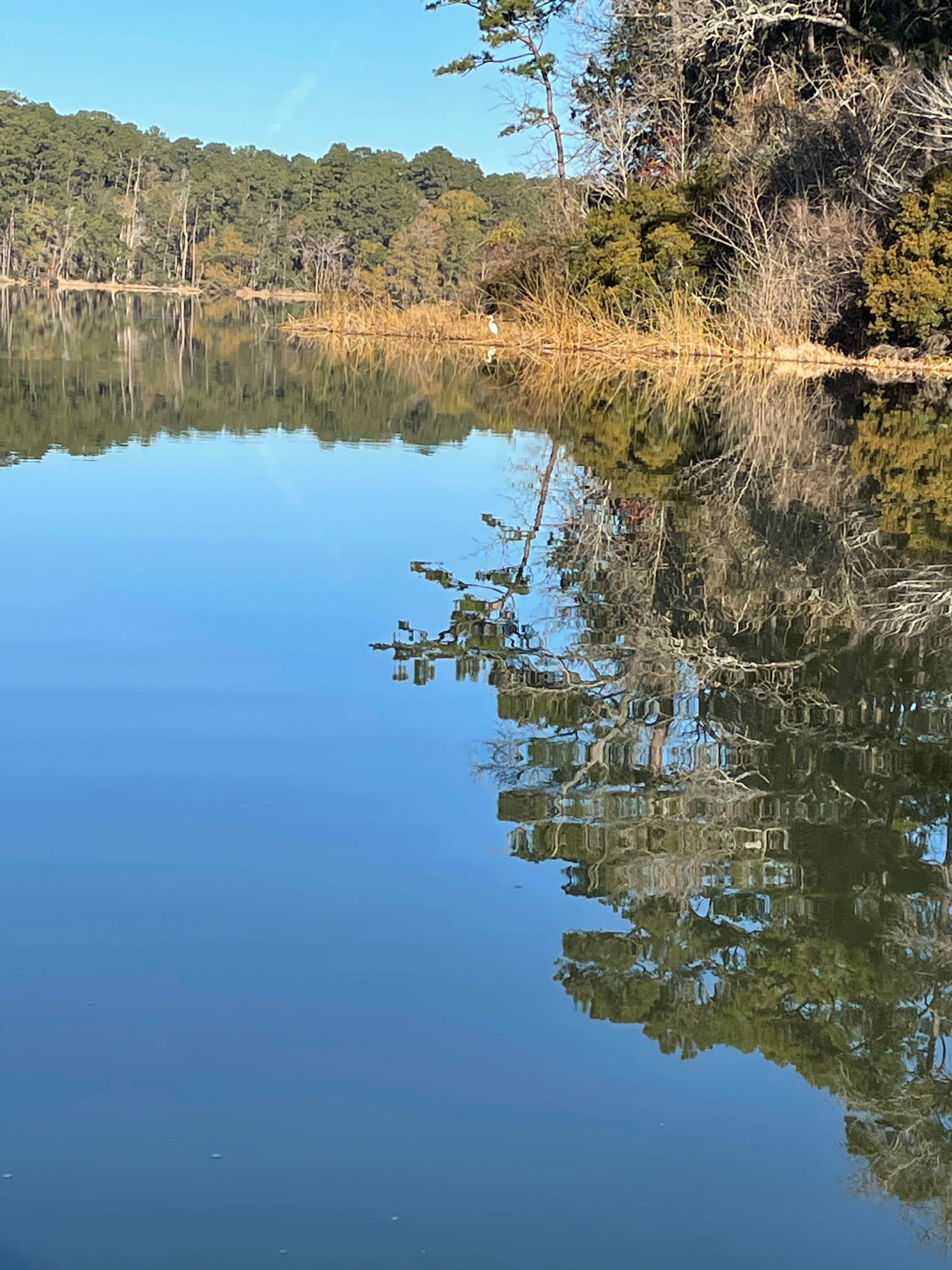 Camper-submitted photo at Huntsville State Park Campground in Texas