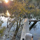 Review photo of Huntsville State Park Campground by Rebecca , January 6, 2021