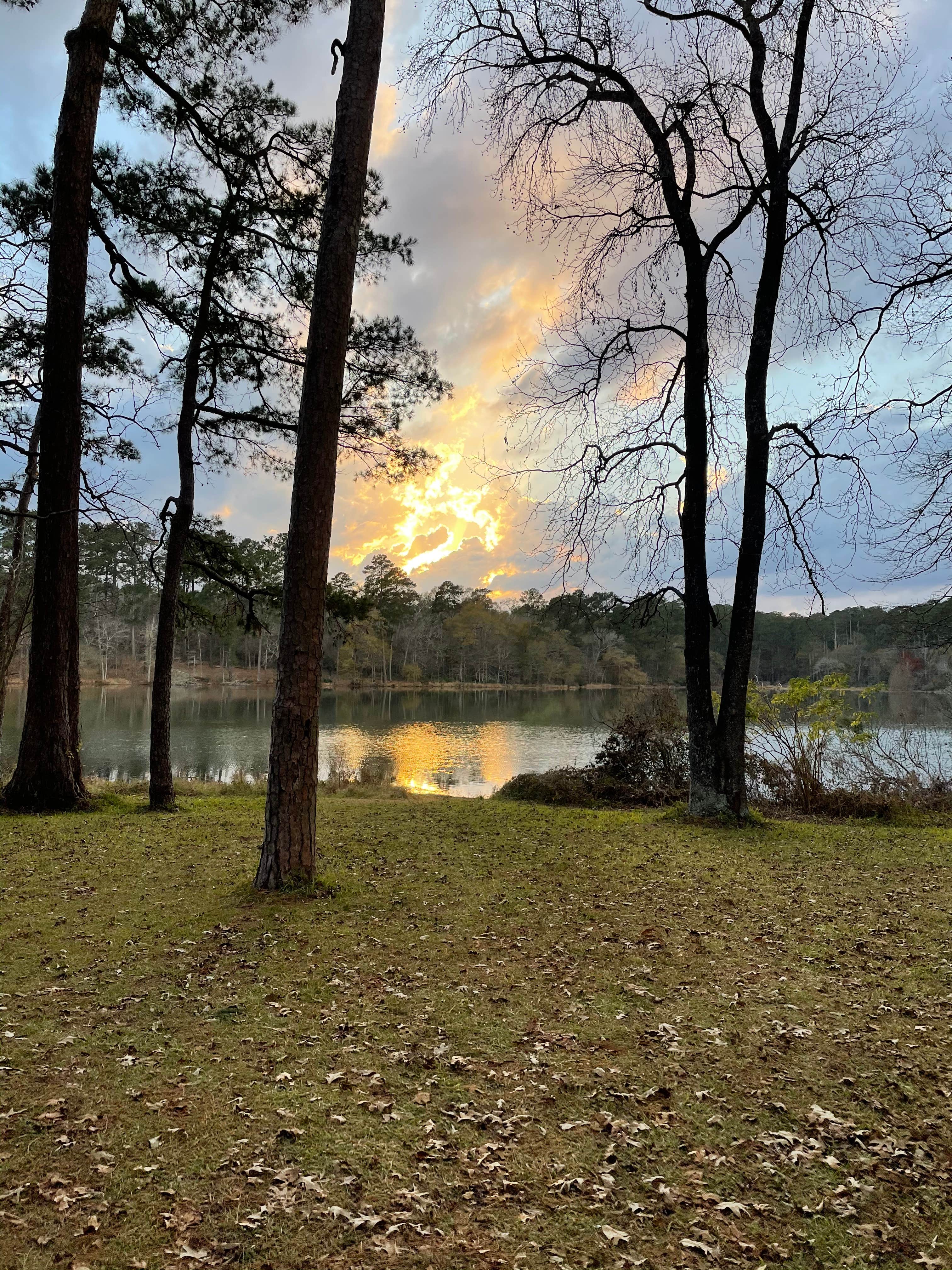 Camper-submitted photo at Huntsville State Park Campground in Texas