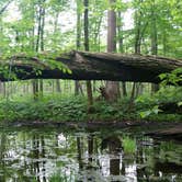 Review photo of Raccoon Creek State Park Campground by Suzann A., May 27, 2018