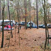 Review photo of Mission Tejas State Park Campground by Rebecca , January 6, 2021