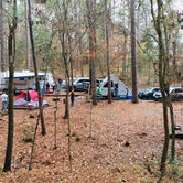 Review photo of Mission Tejas State Park Campground by Rebecca , January 6, 2021