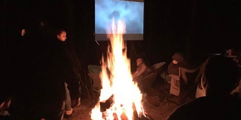 Camper submitted image from Mission Tejas State Park Campground