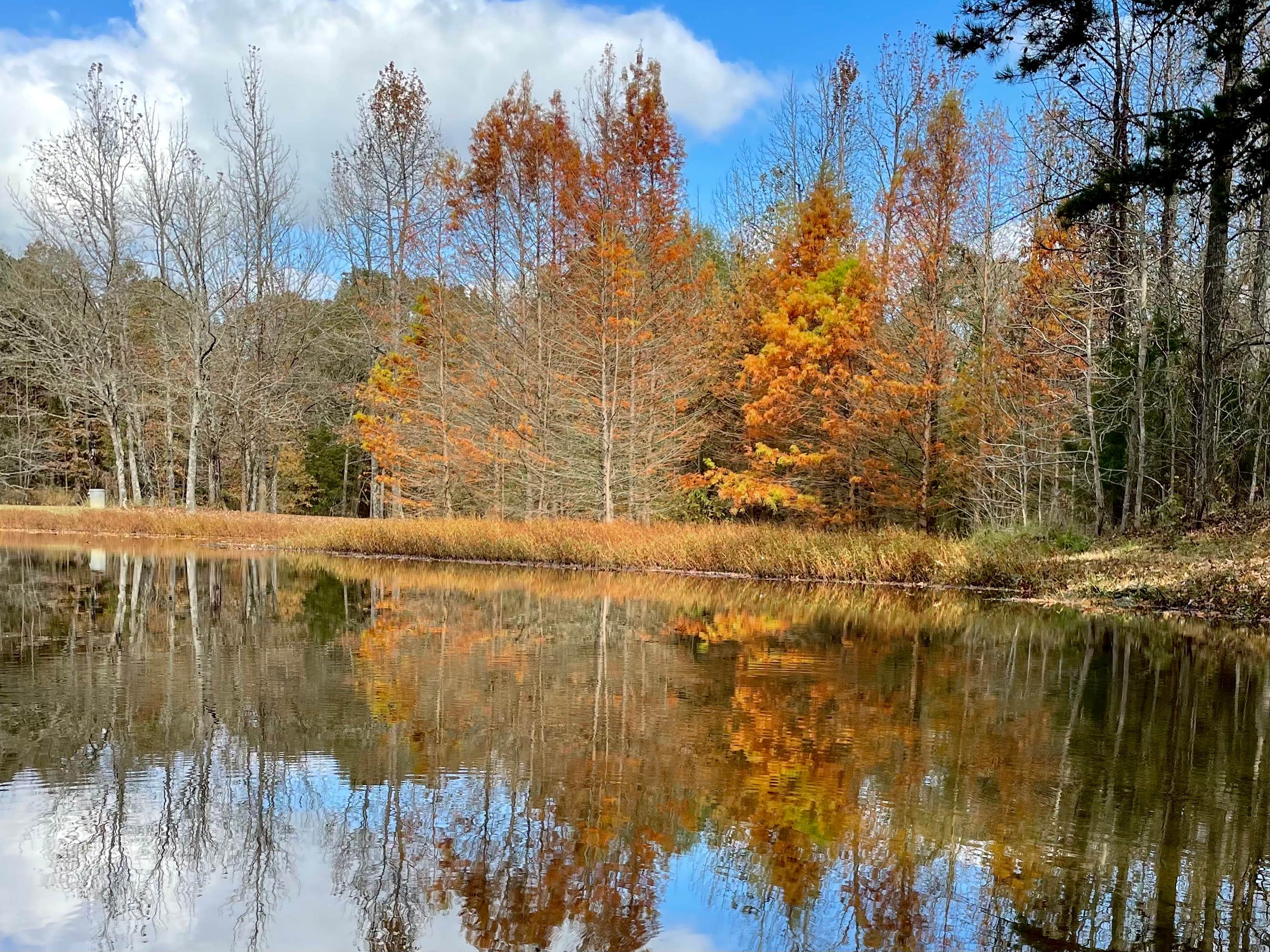 Camper-submitted photo at Lake Bob Sandlin State Park Campground near Kilgore, TX