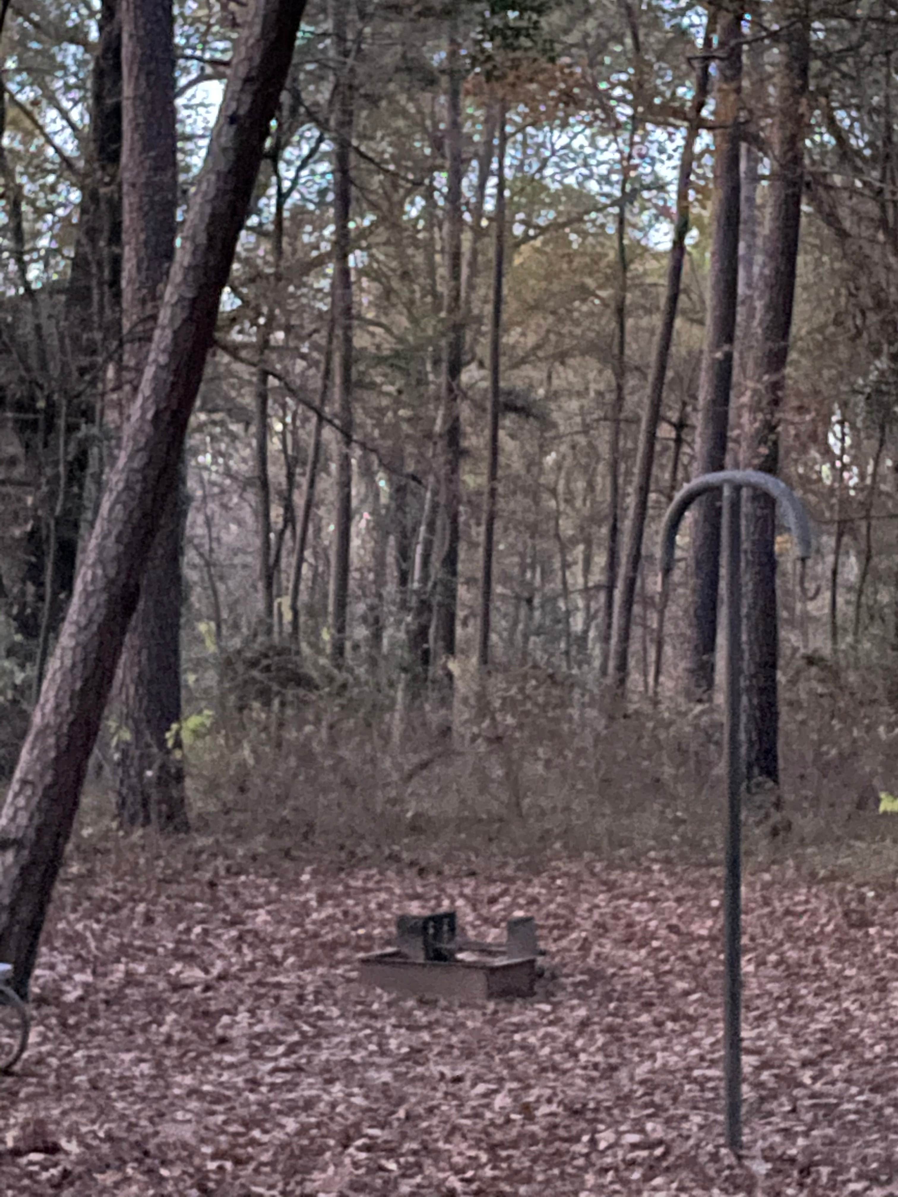 Camper-submitted photo at Lake Bob Sandlin State Park Campground near Kilgore, TX