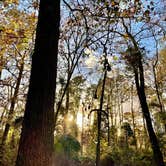 Review photo of Lake Bob Sandlin State Park Campground by Rebecca , January 6, 2021