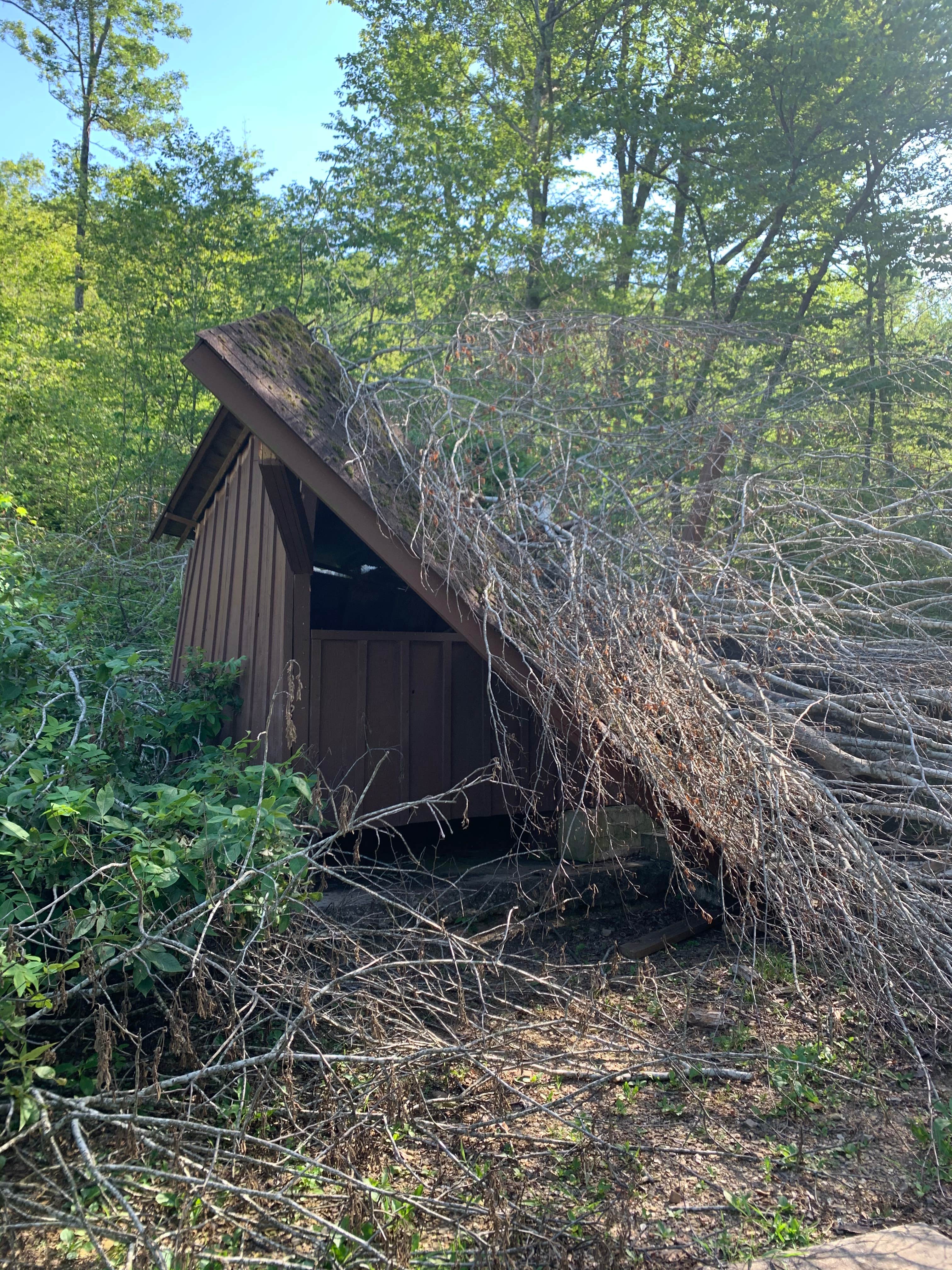 Camper submitted image from Bard Springs Campground - CLOSED TEMPORARILY - 1