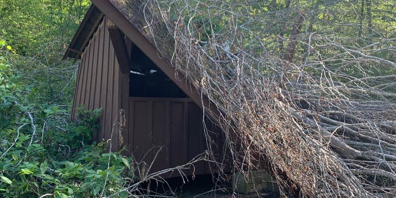 Camper submitted image from Bard Springs Campground - CLOSED TEMPORARILY