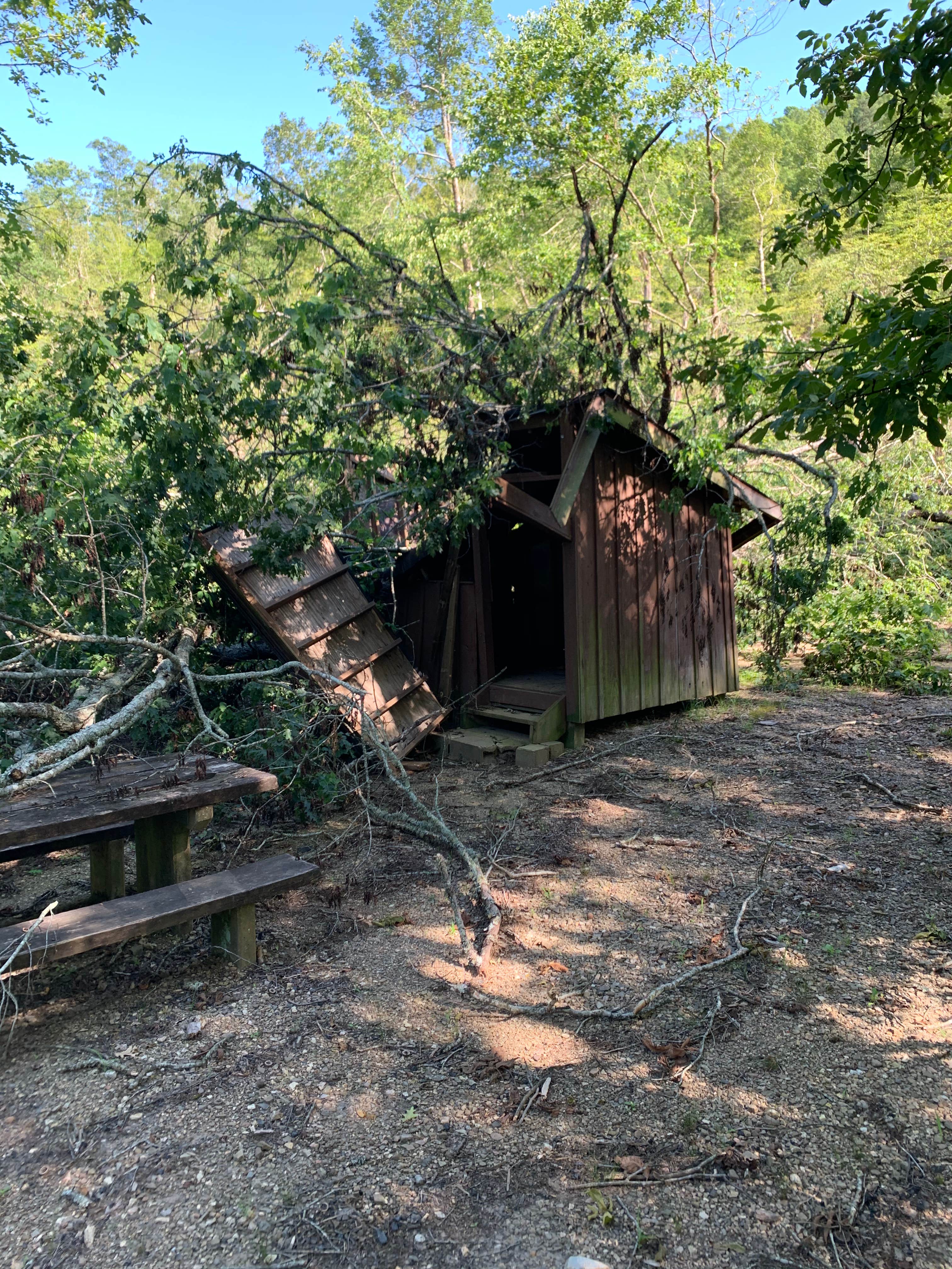 Camper submitted image from Bard Springs Campground - CLOSED TEMPORARILY - 3