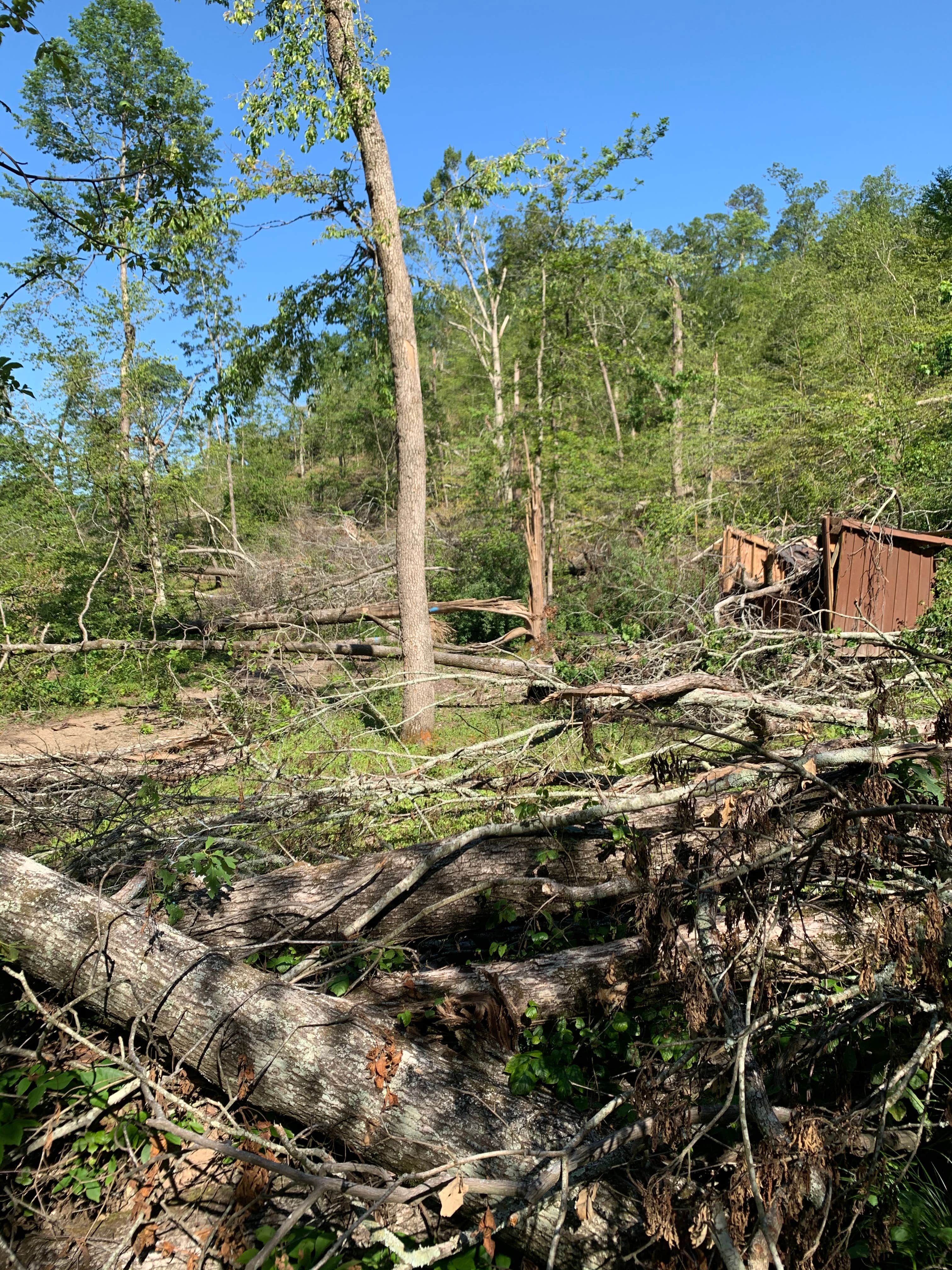 Camper submitted image from Bard Springs Campground - CLOSED TEMPORARILY - 2